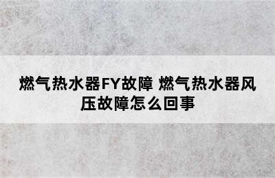 燃气热水器FY故障 燃气热水器风压故障怎么回事